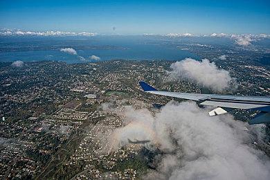 《宝可梦：朱＆紫》新事件11月17日举行 最强伊布袭来 